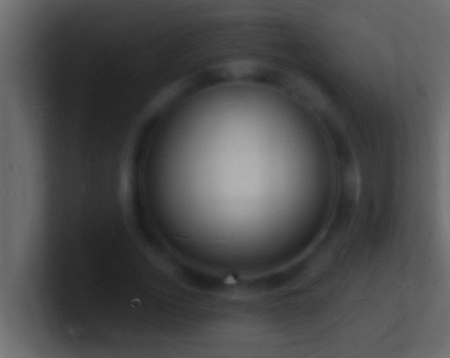 X0000101480732200807071503