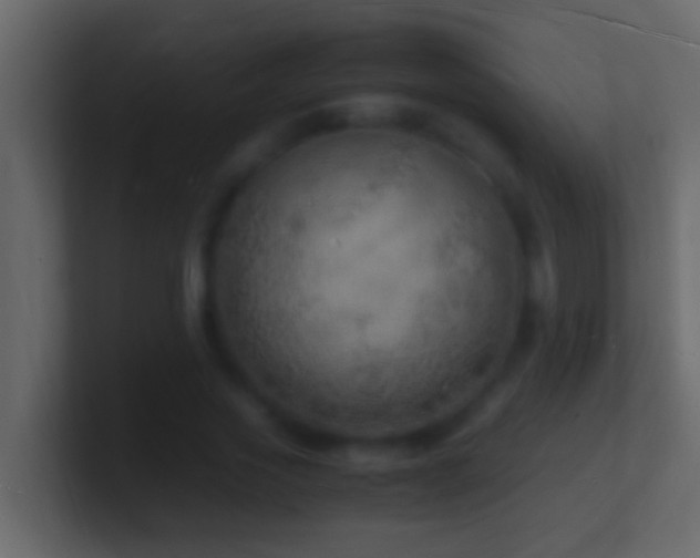 X0000101480733200807071503