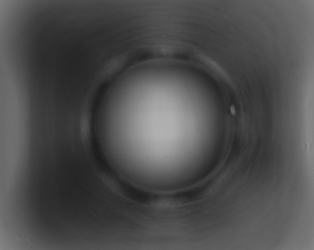 X0000101480738200807071503
