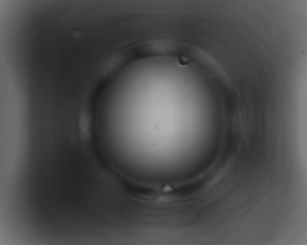X0000101480739200807071503
