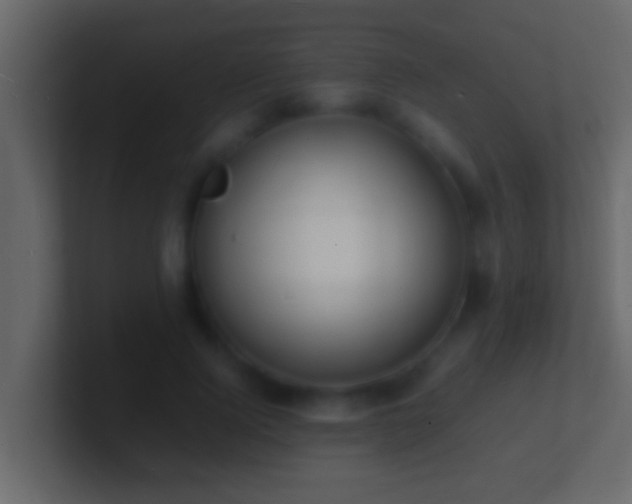X0000101480740200807071503