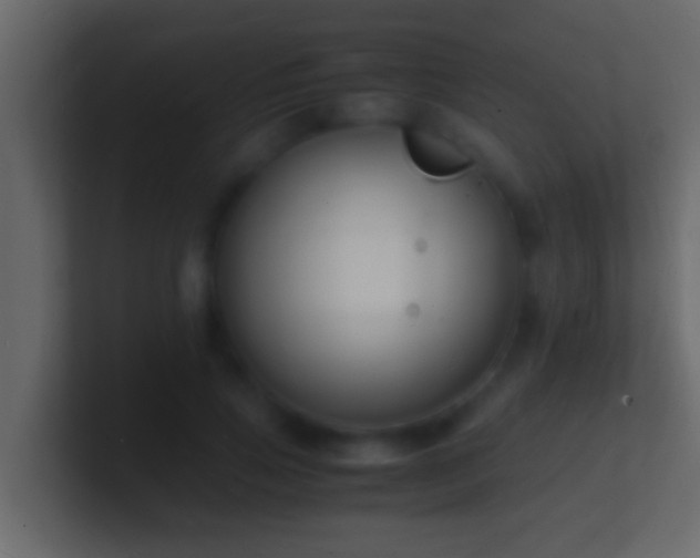 X0000101480741200807071503