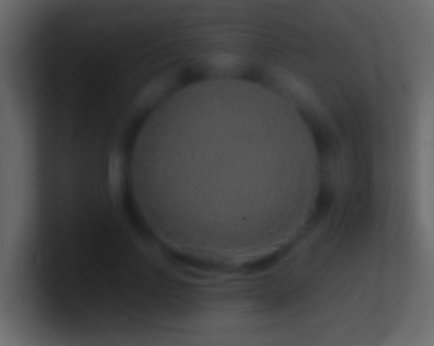 X0000101480742200807071503