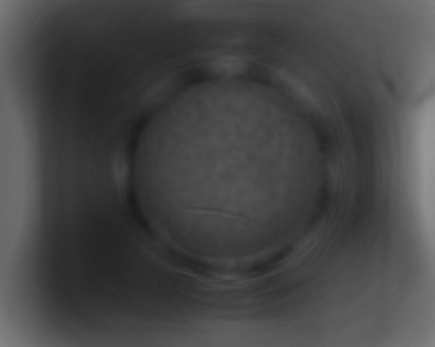 X0000101480745200807071503