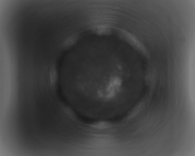 X0000101480748200807071503