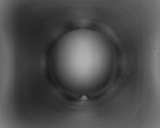 X0000101480750200807071503