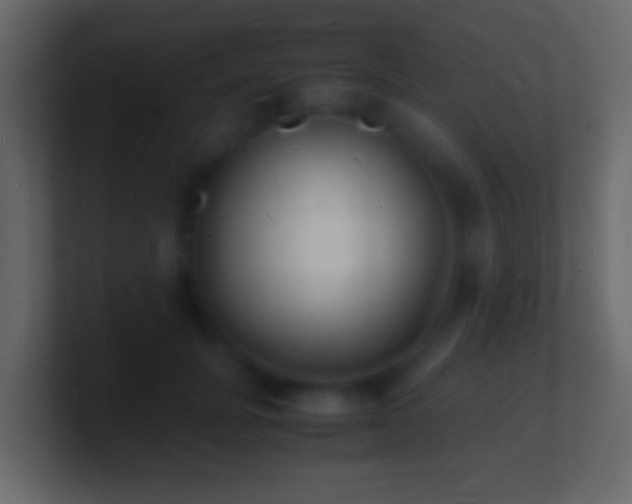 X0000101480751200807071503
