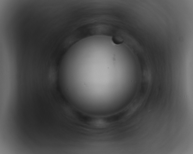X0000101480753200807071504