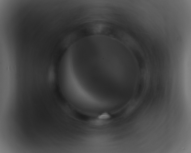 X0000101480754200807071504