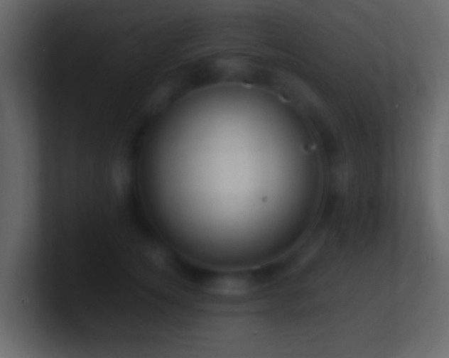 X0000101480756200807071504