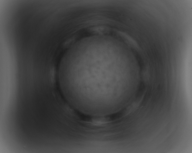 X0000101480757200807071504