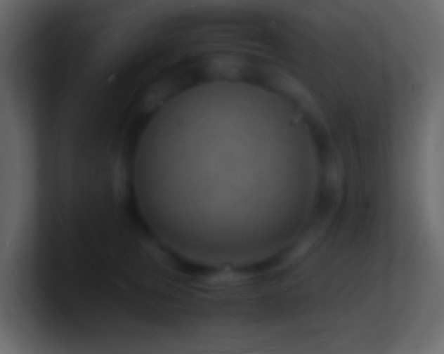 X0000101480759200807071504