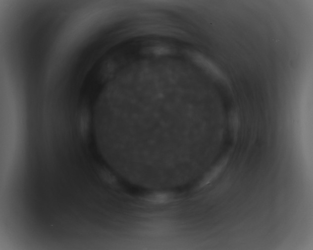 X0000101480760200807071504