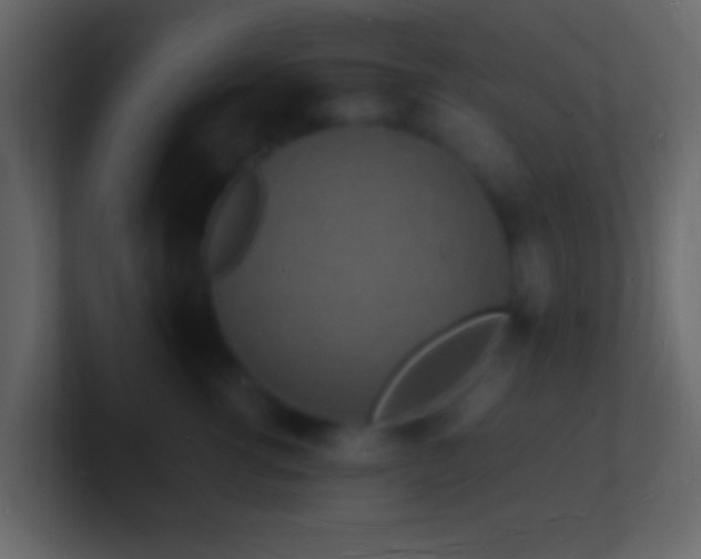 X0000101480762200807071504