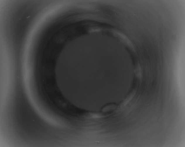 X0000101480763200807071504