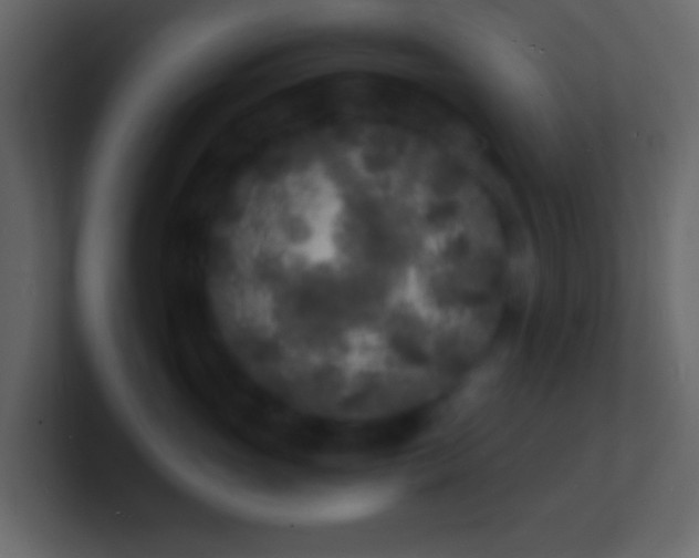 X0000101480765200807071504