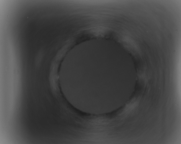 X0000101480769200807071503