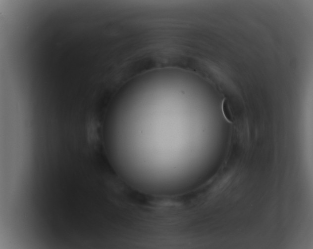 X0000101480770200807071503