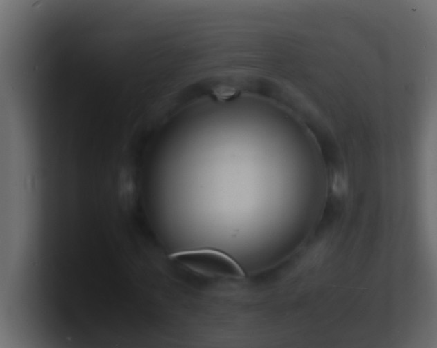 X0000101480771200807071503