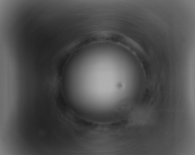 X0000101480773200807071503