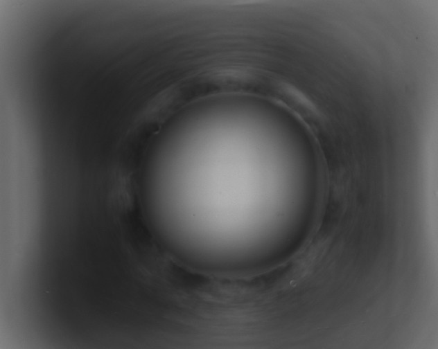 X0000101480774200807071503
