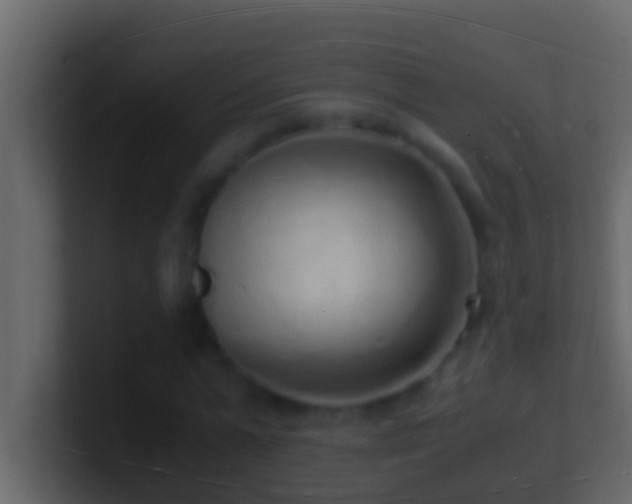 X0000101480775200807071503