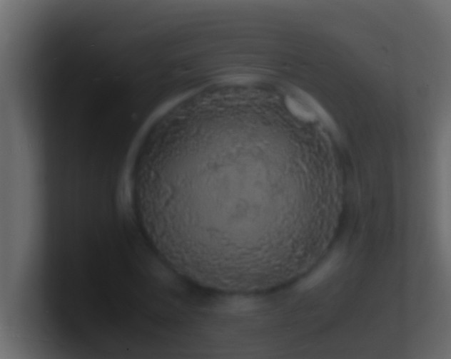 X0000101480779200807071503