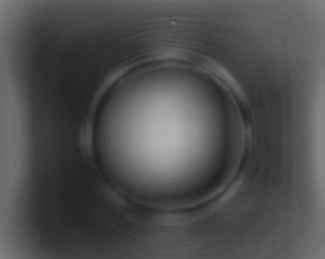 X0000101480780200807071503
