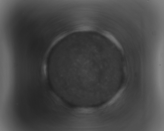 X0000101480781200807071503
