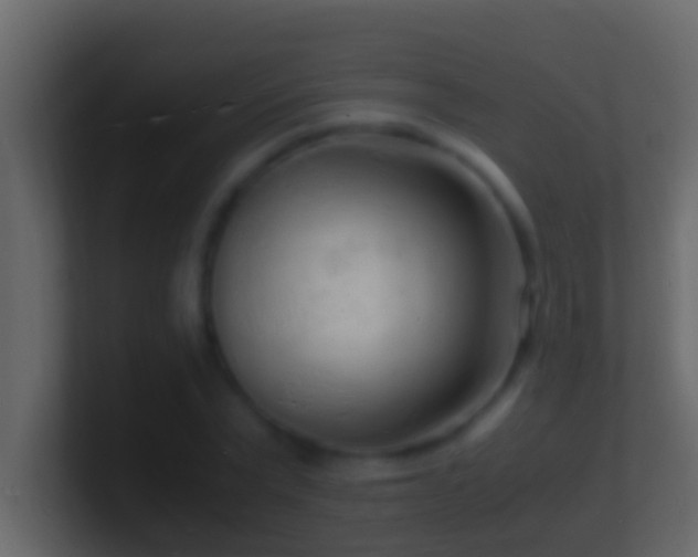 X0000101480783200807071503