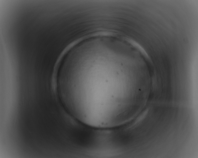 X0000101480784200807071503