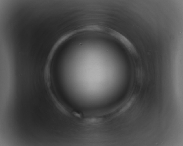 X0000101480808200807071502