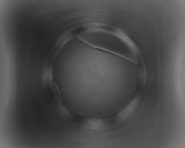 X0000101480809200807071502