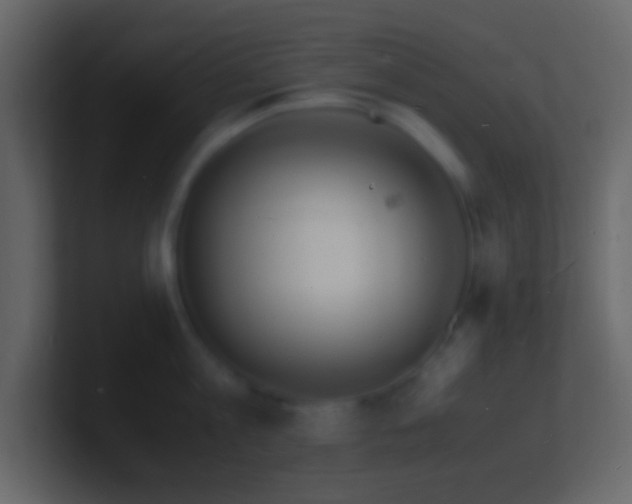 X0000101480813200807071502