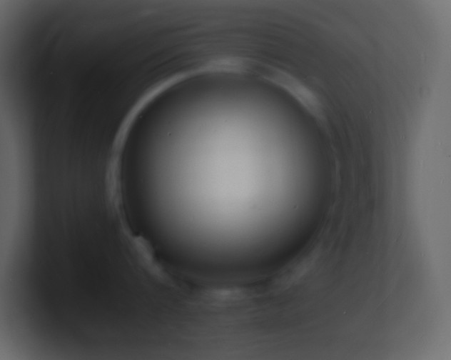 X0000101480816200807071502