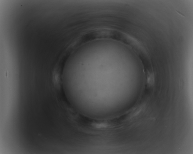 X0000101480819200807071502