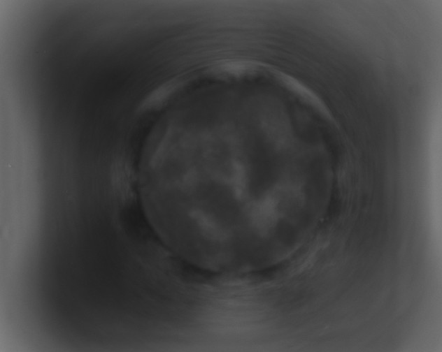 X0000101480822200807071502