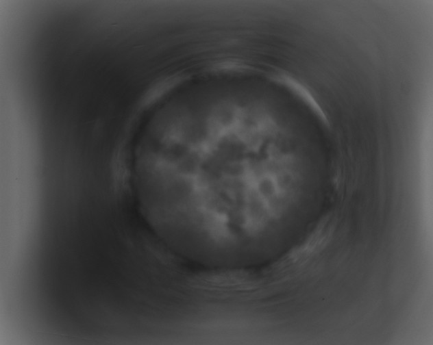 X0000101480823200807071502