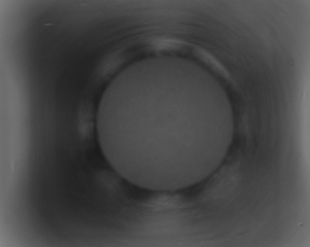 X0000101480824200807071502