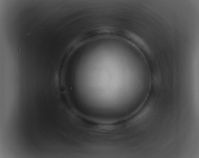 X0000101480825200807071502