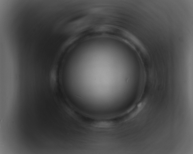 X0000101480826200807071502