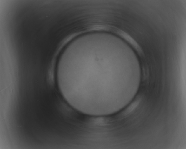 X0000101480828200807071502
