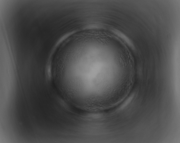 X0000101480830200807071502