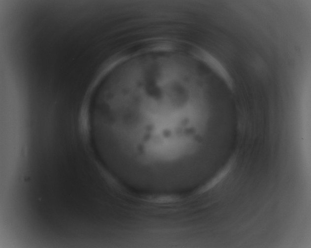 X0000101480835200807071502