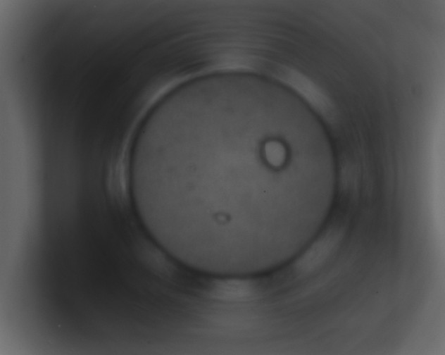 X0000101480836200807071502