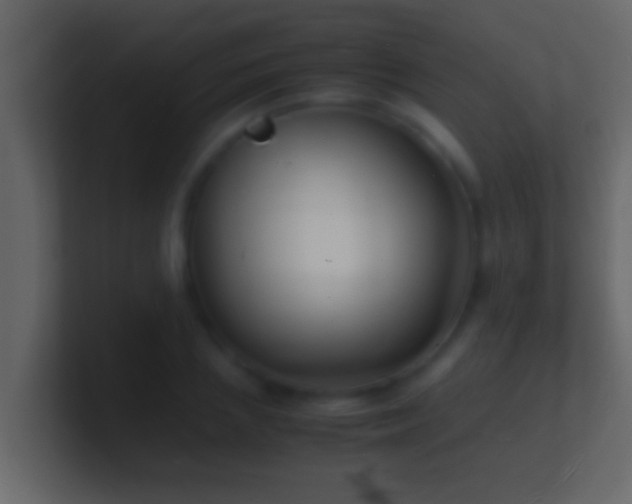 X0000101480837200807071502
