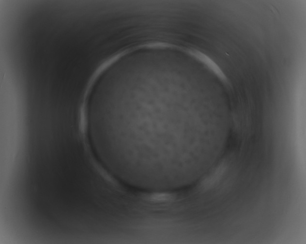 X0000101480839200807071502