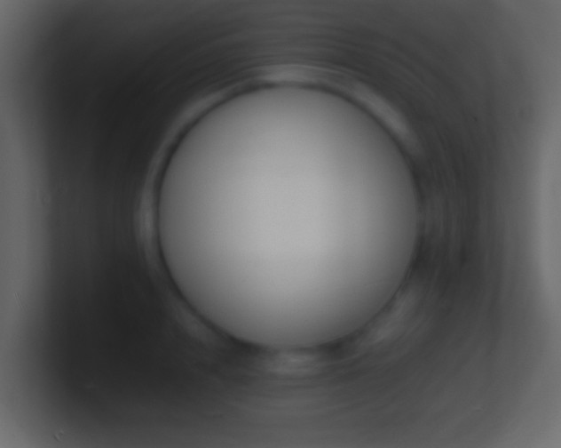 X0000101480848200807071502