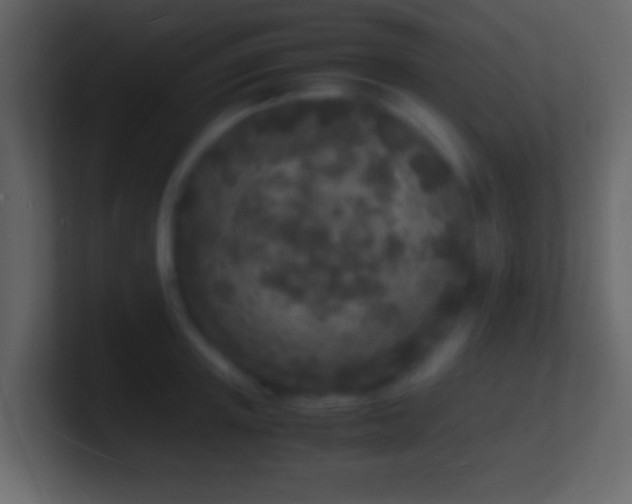 X0000101480851200807071502