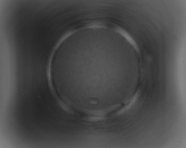 X0000101480853200807071502